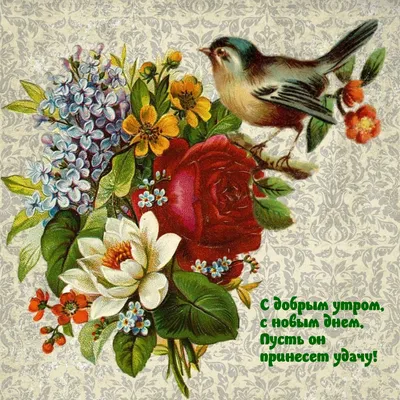 ТанцевАЛИнаАЛИ #музыкальныеоткрытки #новинки #утро#утродоброе #tiktok... |  TikTok