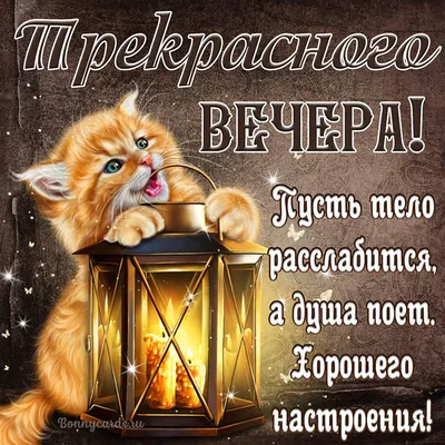 Открытки с добрым утром - страница № 2