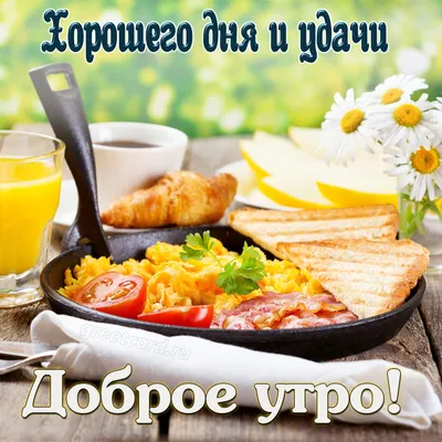 С добрым утром, друзья! #видеооткрытки #пожелания #сдобрымутром #хорош... |  TikTok