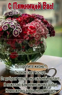 С Добрым утром пятницы! Всем хорошего настроения на целый день! 🌸 ⠀  #слюбовьювашаврорамолл ❤️ | Instagram