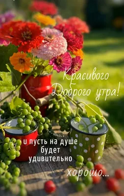 Доброе утро, сегодня пятница!!! Позитива на весь день🌸 Завтра выходной) |  ВКонтакте