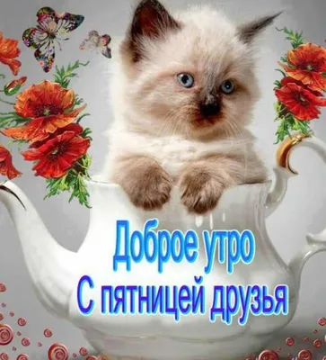 https://www.tiktok.com/@vlada_almaty/video/7320285046311554309