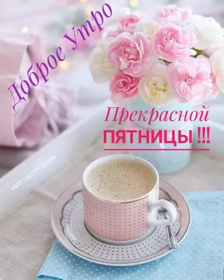 😌🌷С добрым утром пятницы! Отличного дня! | 5-й ЭЛЕМЕНТ | ВКонтакте