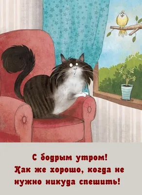 Прикольные картинки \"Доброе утро\" 👍 😄 (304 шт.) в 2023 г | Юмор о  настроении, Надписи, Доброе утро