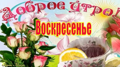 Воскресенье! День веселья...! / Элеонора Лазарева