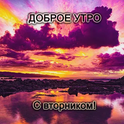 с добрым утром вторника 8 августа｜TikTok Search