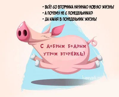 сдобрымутром #вторник | TikTok