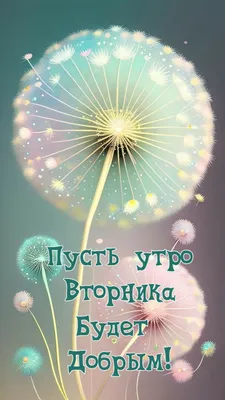 Картинки \"Доброе утро. Вторник\" (779 шт.)