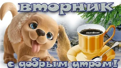всё обо всём - ВТОРНИК, здравствуй! С добрым утром ! Желаю... | Facebook