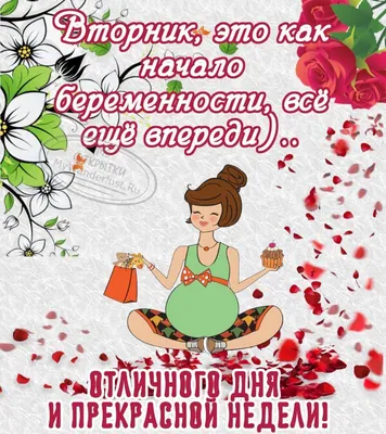 С добрым утром вторника. Начинаю новую жизнь. | Смешные открытки, Юмор  вторника, Утро вторника
