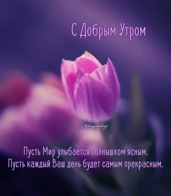 Открытки и картинки со вторником прикольные
