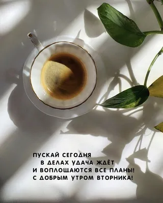 Картинки \"С Добрым Утром Вторника!\" (100+)