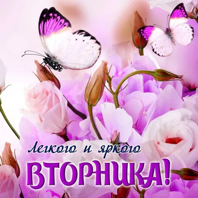 доброеутровторника | TikTok
