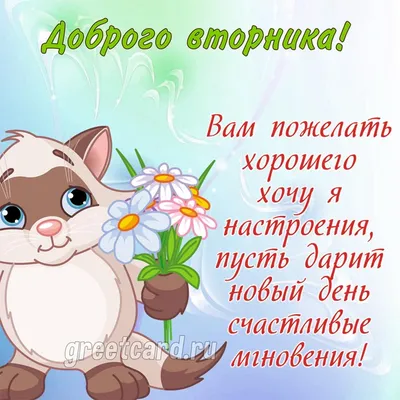 С добрым утром | Доброе утро, Весенние цветы, Юмор вторника