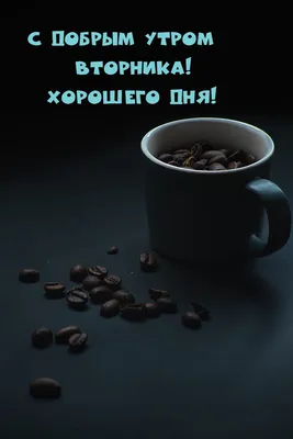Картинки \"С Добрым утром вторника\" (70 штук)