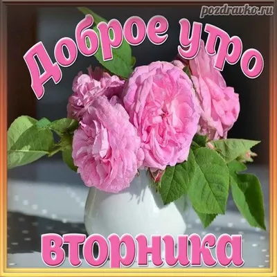 Картикни с добрым утром вторника с мотивацией🌞