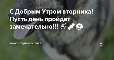 Картинки с добрым утром во вторник - подборка