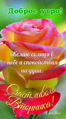 Отличного вторника (В статье много фото) - treepics.ru