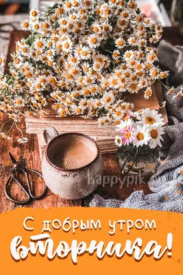 Открытки \"Доброго утра!\" во вторник (100+)