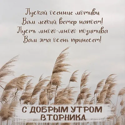 Открытки с добрым утром вторника - 73 фото