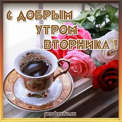 АГС_Утро С добрым утром вторника! Желаем бодрого настроя и сильных  ощущений! Пусть откроются новые возможности.. | ВКонтакте
