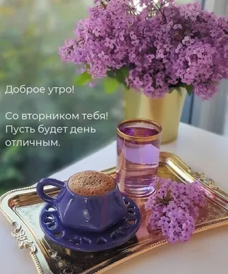 Фото доброе утро вторника - скачать бесплатно
