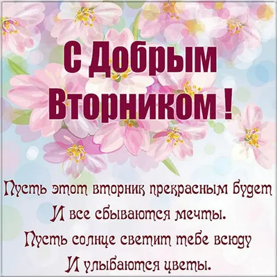 Картинки Доброе утро вторника - скачать (200 шт.)