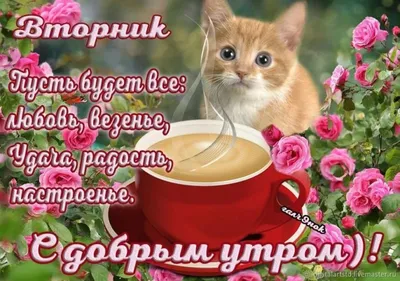 Доброе утро вторника прикольные картинки и красивые открытки