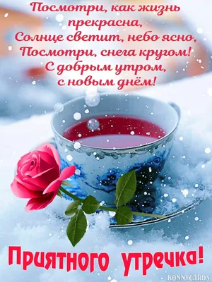 Доброе утро вторник