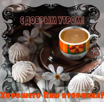 Открытки с добрым утром вторника (50 штук)
