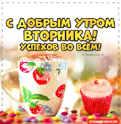 С добрым утром, друзья🌿 На календаре вторник, 4 мая. В Калининграде  сегодня ожидается тёплый день без осадков и сильного ветра. Сейчас на… |  Instagram