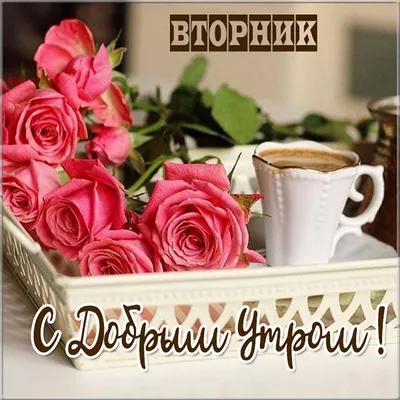 Картинки вторник доброе утро хорошего дня весна (52 фото) » Картинки и  статусы про окружающий мир вокруг