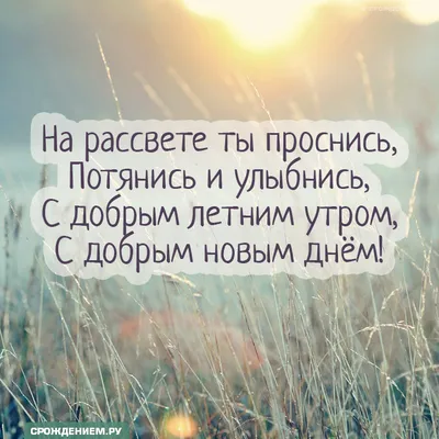 С Добрым летним утром! #доброеутро #хорошегонастроения #pozitiv_4ik #п... |  TikTok