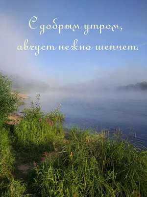 И только в последние дни августа понимаешь, что и в июне было здорово. |  Осенние цветочные композиции, Праздничные открытки, Картины цветов на холсте