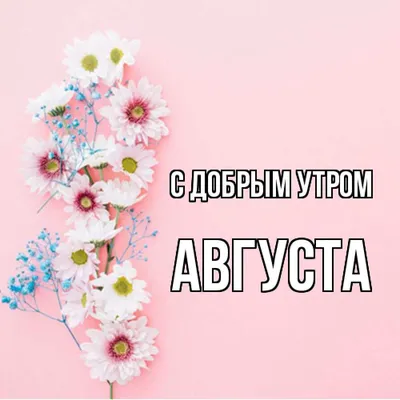 18 августа. С добрым утром друзья... (Светлана Боголюбова) / Стихи.ру