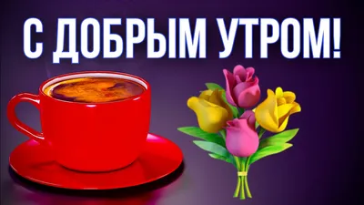 Счастье есть - С ДОБРЫМ УТРОМ, МОИ ДОРОГИЕ!!!! С новым днём всех! Когда  начинается день, рождаются новые мечты. Пусть все мечты будут светлыми и  радостными, а день удачным и добрым! Берегите себя! |