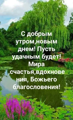 Доброе утро и хорошего дня ~ Открытка (плейкаст)