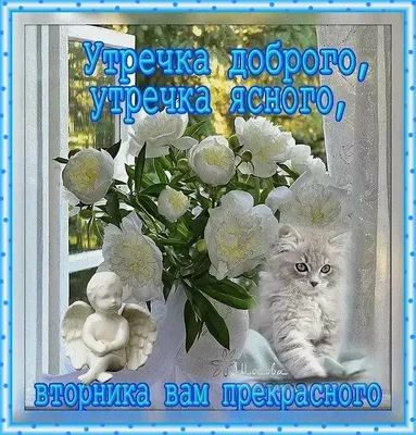 💗☕️🌷Доброе Утро! Хорошего Дня! Заряд Позитива на Весь День!💞 - YouTube