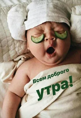 Доброе утро! | Пикабу