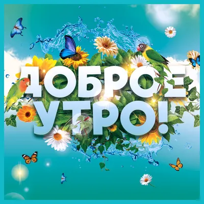 Картинка доброе утро и чудесного настроения - GreetCard.ru