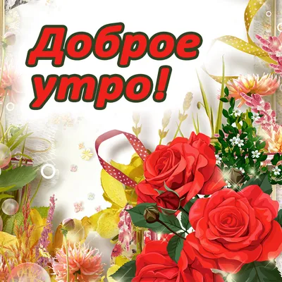 Доброе утро! 💝 | Доброе утро, Открытки, Красивые розы