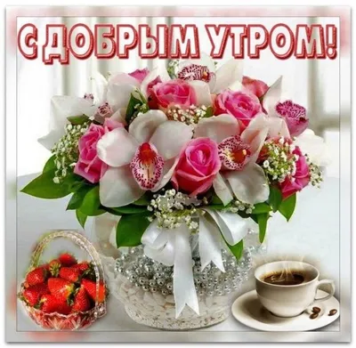 Доброе Утро любимым! 🌹 | Праздничные открытки, Красивые розы, Доброе утро