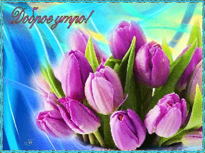С Добрым утром, тюльпаны — Открытки к празднику