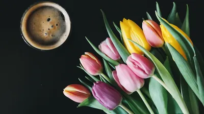 Pin de bos en доброе утро | Tulipanes en florero, Flores bonitas, Flores  tulipanes