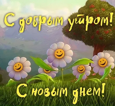 Смешная открытка \"Доброго утра субботы!\", с ёжиком • Аудио от Путина,  голосовые, музыкальные