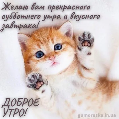 Мерцающая гиф открытка \"Самого доброго утра субботы!\", с розами • Аудио от  Путина, голосовые, музыкальные