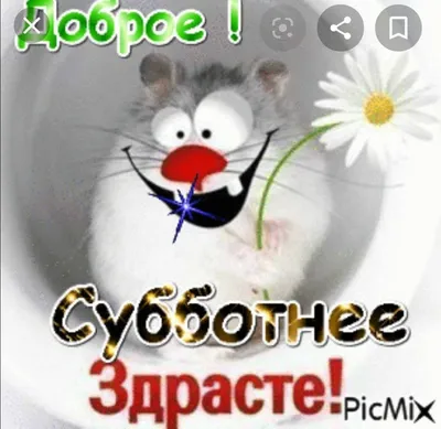 Смешная открытка \"Доброго утра субботы!\", с ёжиком • Аудио от Путина,  голосовые, музыкальные