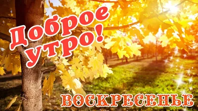 ВОСКРЕСЕНЬЕ. ДОБРОЕ УТРО ДРУЗЬЯ... - Позитив Юмора и Природы | Facebook