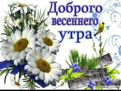 Картинки \"Доброго весеннего утра!\" (531 шт.)