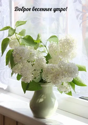 С добрым весенним утром!🌷☀️Солнечного дня! Красивая музыкальная открытка!  - YouTube